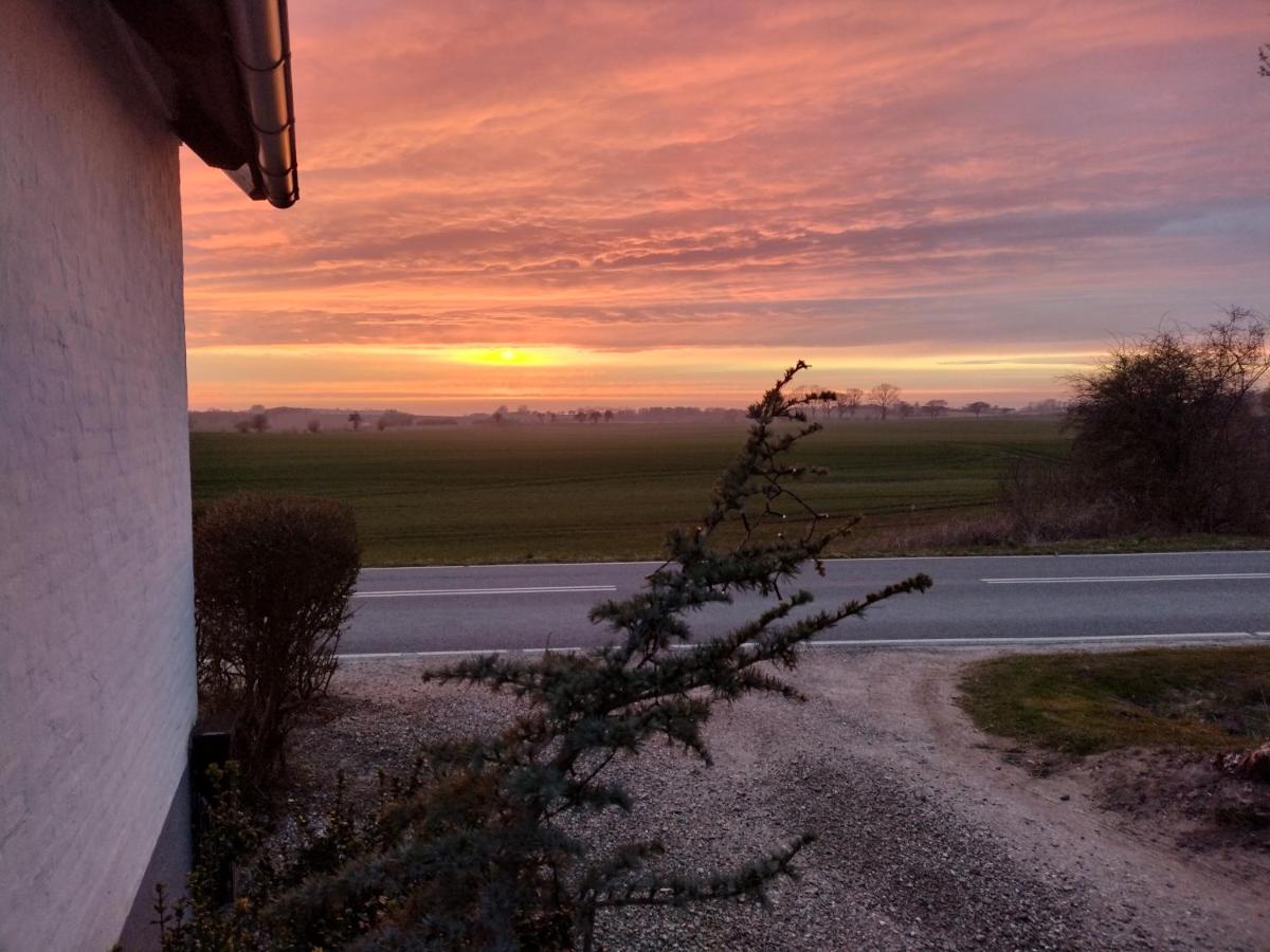 Appartamento Hus Ved Skov Ejby  Esterno foto